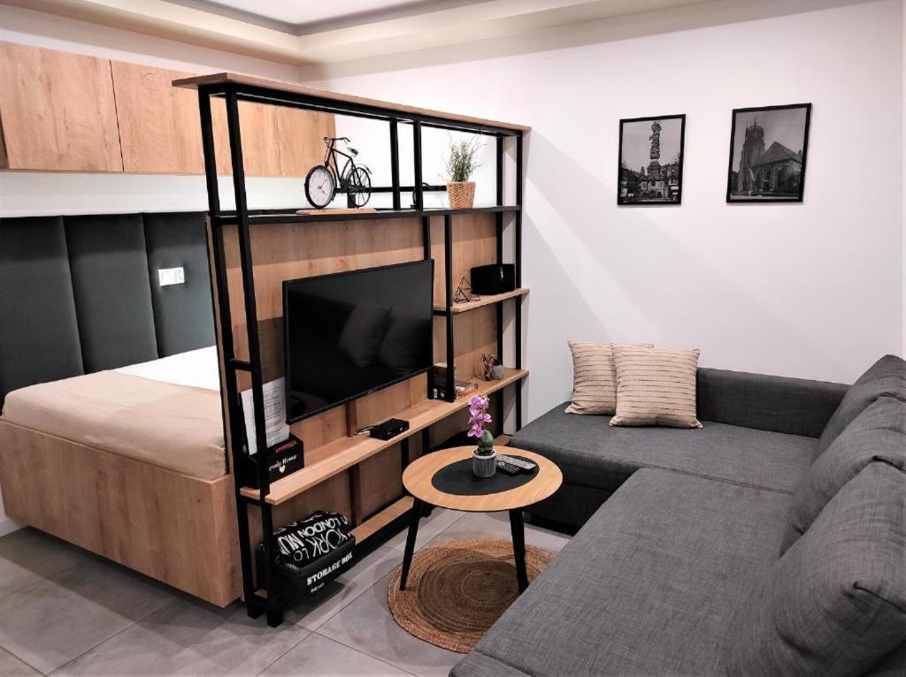 Apartamenty Marianska 103 Raciborz Luaran gambar